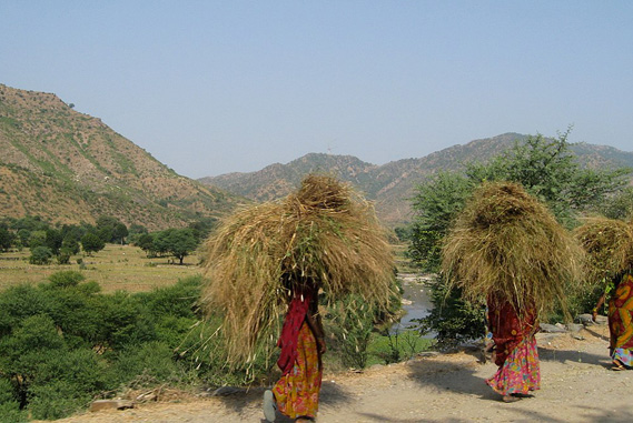 Indian Culture
